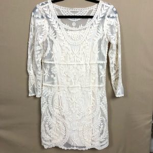 Express Mesh Embroidered Dress